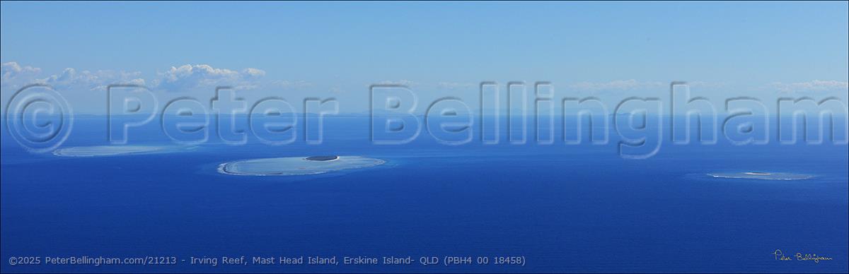 Peter Bellingham Photography Irving Reef, Mast Head Island, Erskine Island- QLD (PBH4 00 18458)